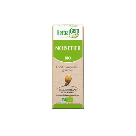 Noisetier - Macérat concentré de bourgeons BIO