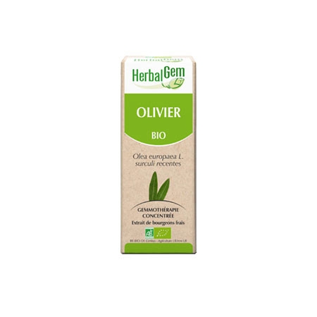 Olivier - Macérat concentré de bourgeons BIO