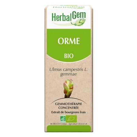 Orme - Macérat concentré de bourgeons BIO