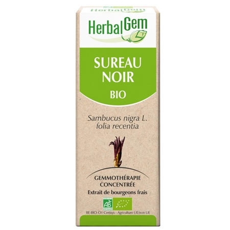 Sureau - Macérat concentré de bourgeons BIO