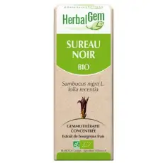 Sureau - Macérat concentré de bourgeons BIO