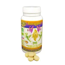 Astragalus comprimés BIO DDM