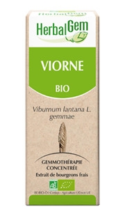 Viorne - Macérat concentré de bourgeons BIO