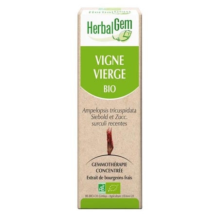 Vigne vierge - Macérat concentré de bourgeons BIO