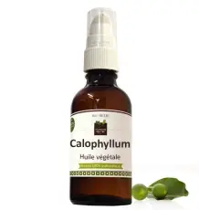 Calophyllum huile végétale DDM
