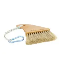 Brosse squale de plage