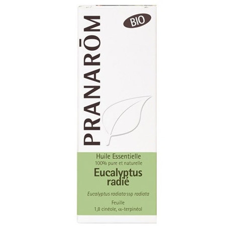 Eucalyptus radié Huile essentielle BIO