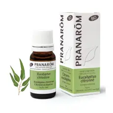 Eucalyptus citronné Huile essentielle BIO