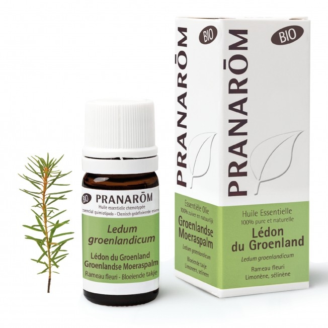 Ledon du Groenland Huile essentielle BIO