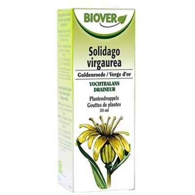 Verge d’or teinture BIO DDM