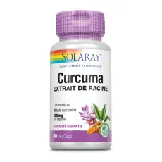 Curcuma extrait de racine (95 % curcumine)