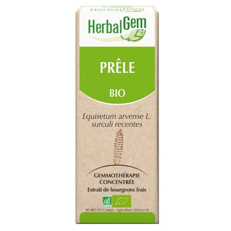 Prêle - Macérat concentré de bourgeons BIO DDM
