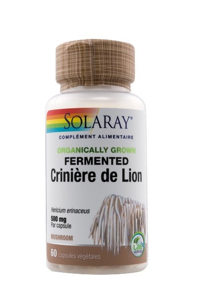 Crinière de lion 500 mg