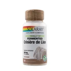 Crinière de lion 500 mg