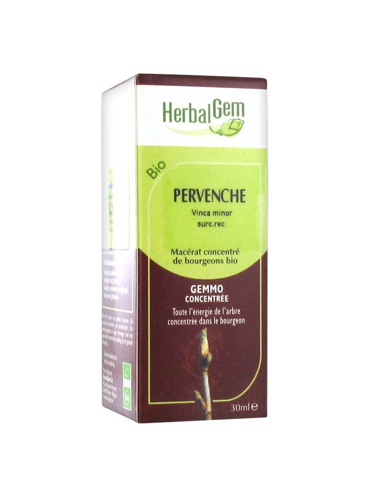 Pervenche - Macérat concentré de bourgeons BIO DDM