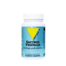 Enzymes Végétales 30 gélules