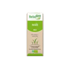 Mais - Macérat concentré de bourgeons BIO DDM