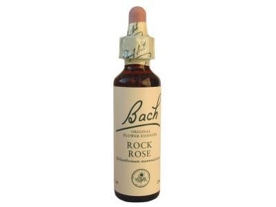 Rock Rose Hélianthème N°26