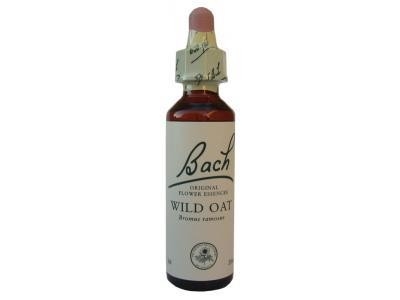 Wild Oat Folle Avoine N°36