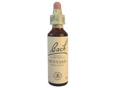Mustard Moutarde N°21