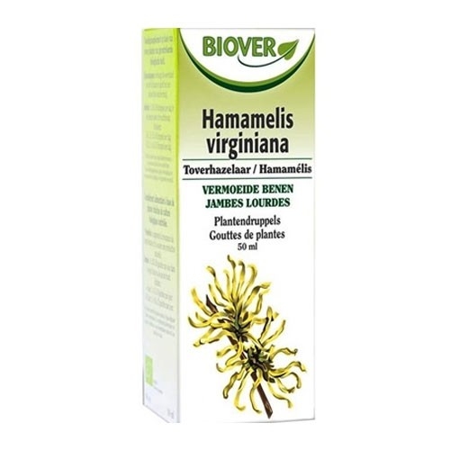 Hamamélis Teinture BIO