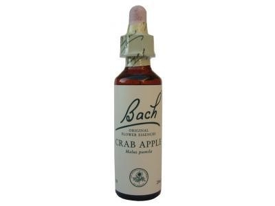 Crab Apple Pommier sauvage N°10