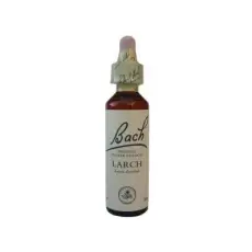 Larch Mélèze N°19