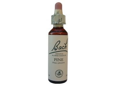 Pine Pin Sylvestre N°24
