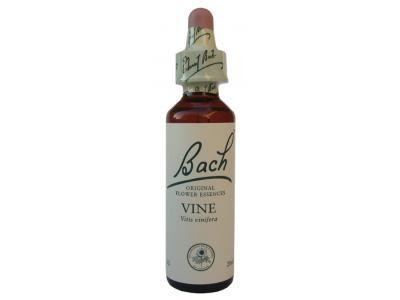 Vine Vigne N°32